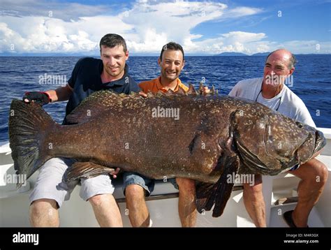 a big fish .